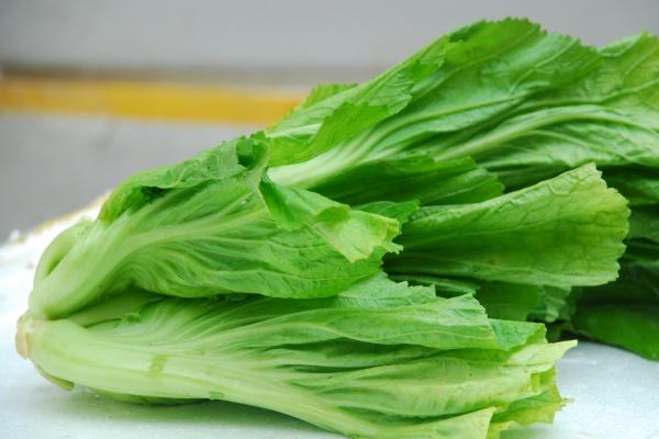 梦到了好多菌子代表着什么