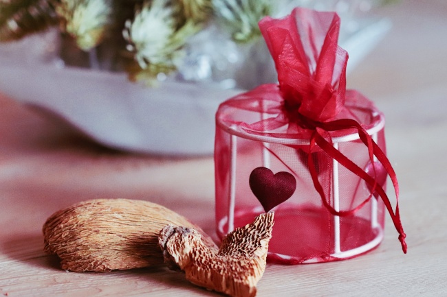 妈属猴爸属马几月份蛇好 妈属猴爸属马几月份蛇好