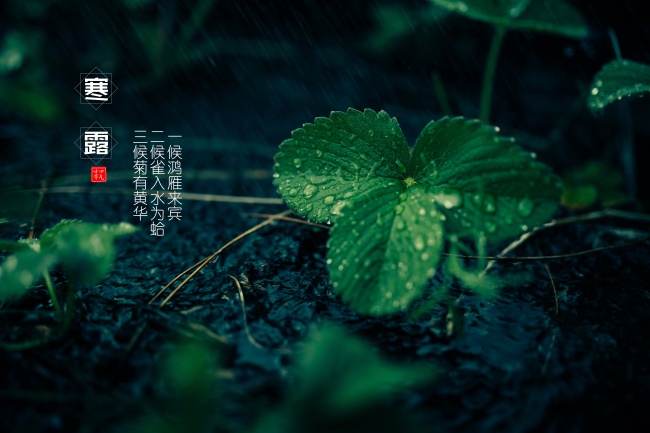 梦到自己委屈的哭代表什么