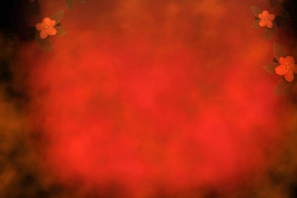 人品过硬的生肖女 人品过硬的生肖女