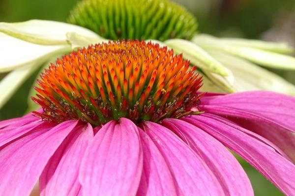 马宝宝几月份出生比较好呢 马宝宝几月份出生比较好呢