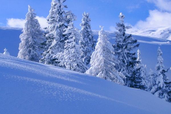 两个属兔人的婚后运势 两个属兔人的婚后运势