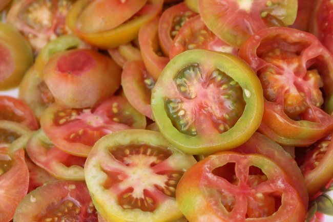 属狗下半年一道坎 是什么灾 属狗下半年一道坎 是什么灾