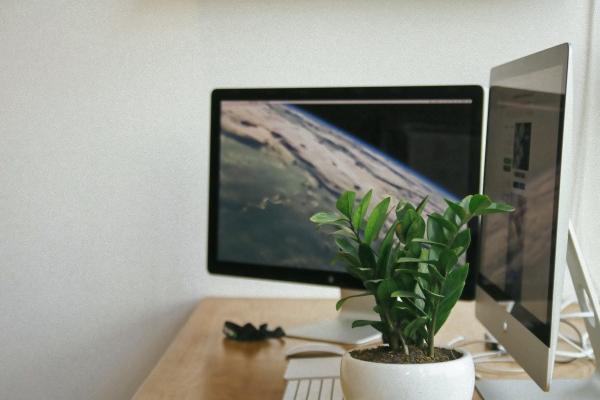 属蛇的不能佩戴什么 属蛇的不能佩戴什么