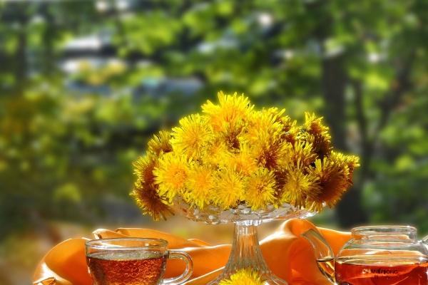 属蛇斗不过的生肖 属蛇斗不过的生肖