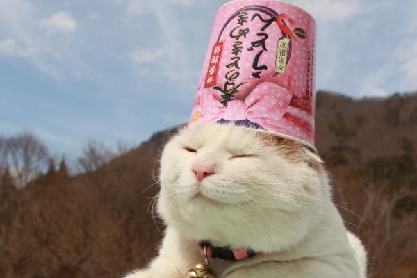 属羊的克星第一名 属羊的克星第一名