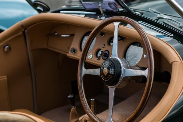 属牛人什么时候能好运,揭示属牛人的运势和命运 属牛人什么时候能好运,揭示属牛人的运势和命运