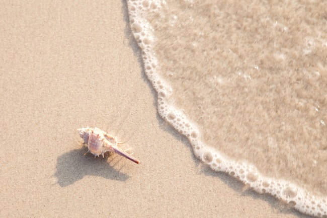 属兔人一碰什么就发财 属兔人一碰什么就发财