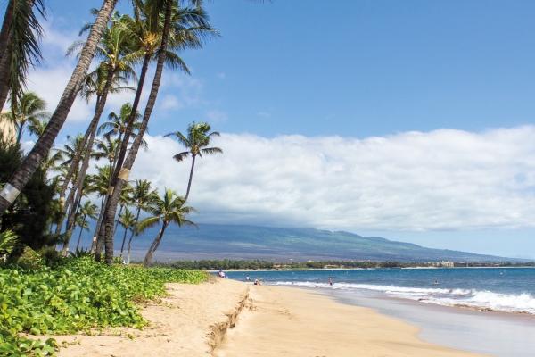 属兔人什么时候能好运,揭示属兔人的运势和命运 属兔人什么时候能好运,揭示属兔人的运势和命运