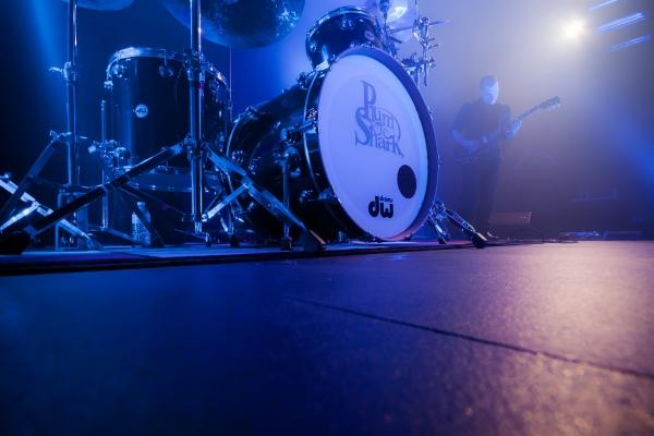 属蛇女是凤凰命吗 属蛇女是凤凰命吗