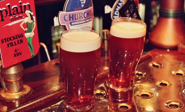 属牛人养什么植物最旺财 属牛人养什么植物最旺财