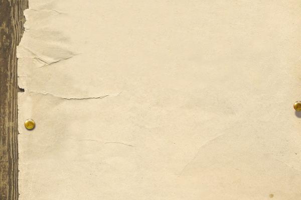 属蛇和属狗的婚姻怎么样 属蛇和属狗的婚姻怎么样