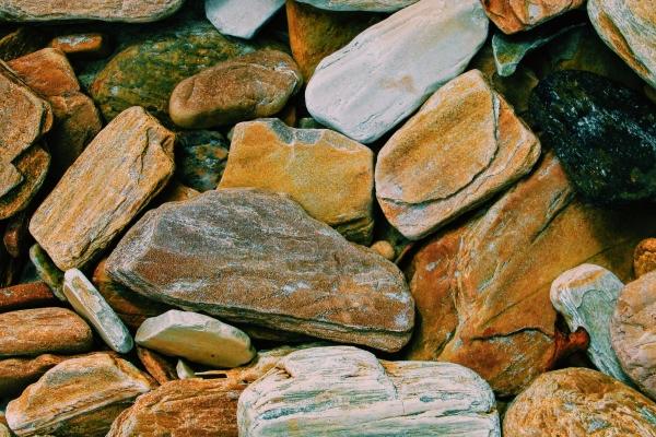 2025属牛要小心一个人,属牛要远离谁 2025属牛要小心一个人,属牛要远离谁