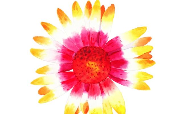 属虎男2025年运势 属虎男2025年运势