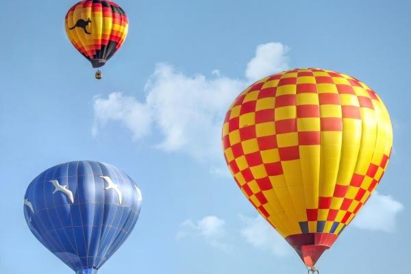 属牛2025年有大祸缠身,会遇到什么灾难 属牛2025年有大祸缠身,会遇到什么灾难