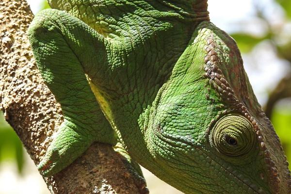 77年蛇女在2025全年运势最新 77年蛇女在2025全年运势最新