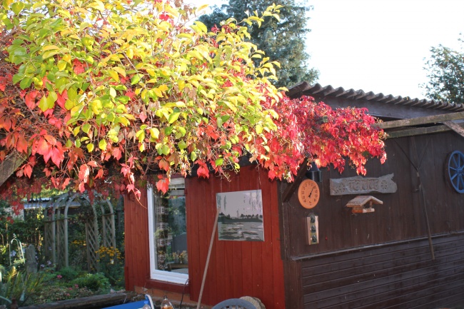 88年龙2025年有三喜,88年属龙人2025有哪三件喜事 88年龙2025年有三喜,88年属龙人2025有哪三件喜事