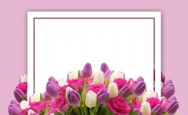 2025属兔的小人是谁,2025属兔的要躲着谁 2025属兔的小人是谁,2025属兔的要躲着谁