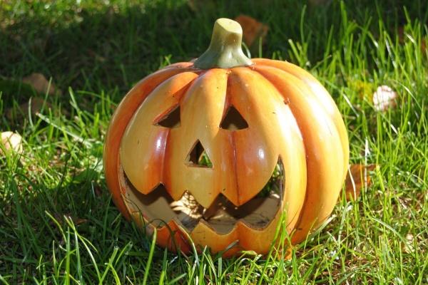 2025年属相运势及运程 2025乙巳年十二生肖运势详细说明