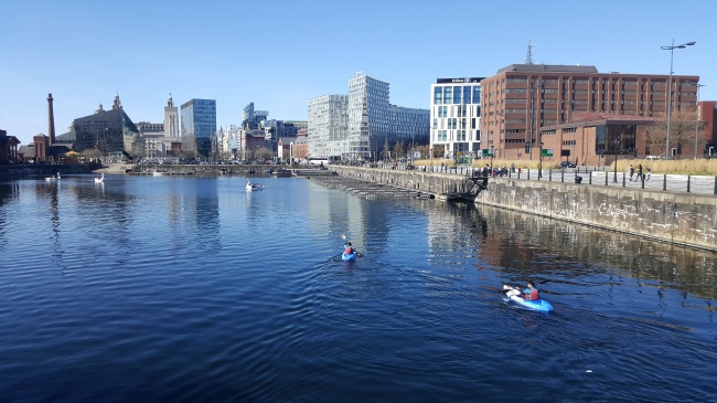 羊和鼠在一起怎么化解