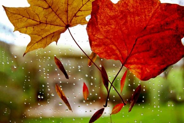 属猴人靠什么发财最快,属猴人做什么行业容易发财 属猴人靠什么发财最快,属猴人做什么行业容易发财