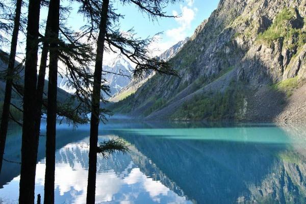 2025年十二生肖运程完整篇 全新运势测算