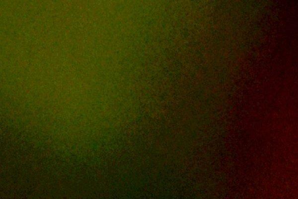 2025年属狗血光之灾，2025年属狗人有什么灾难