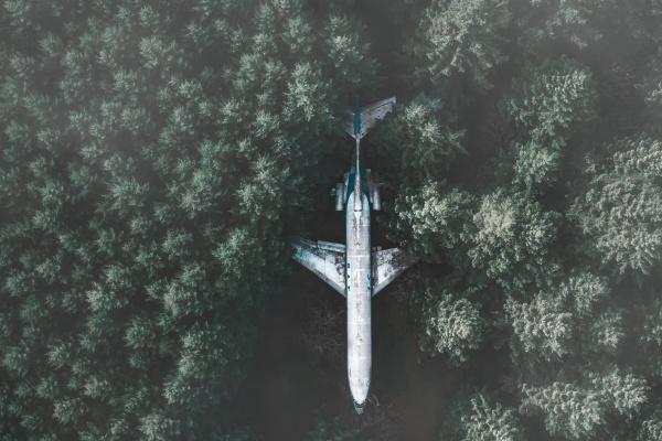 2025年冲哪一年的狗2025年哪一年的属狗人运气最烂