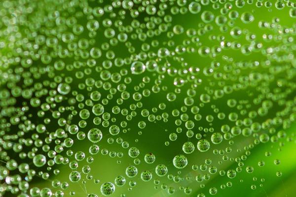 1980猴的三个孽缘