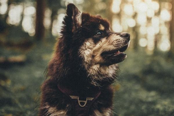 1990属马女佩戴什么最佳