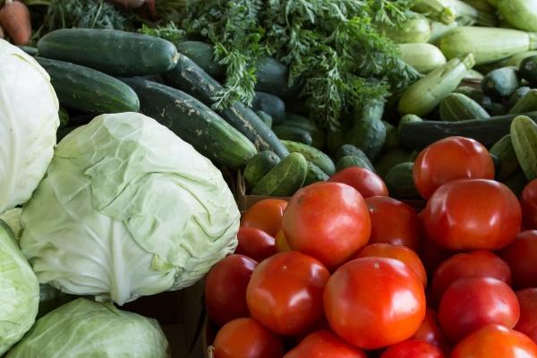 2025年什么生肖最好 什么生肖运势最好是