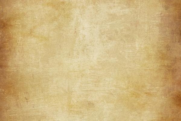 男猪女鼠的婚姻怎么样