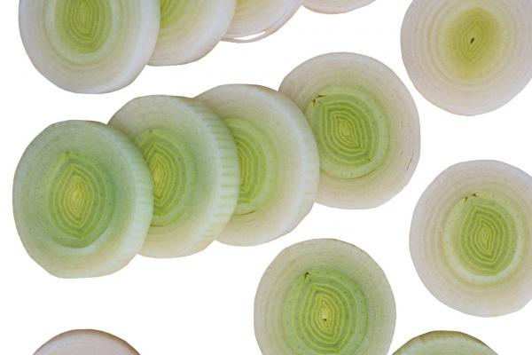 第一运程 2025年1月1日十二生肖运势解析