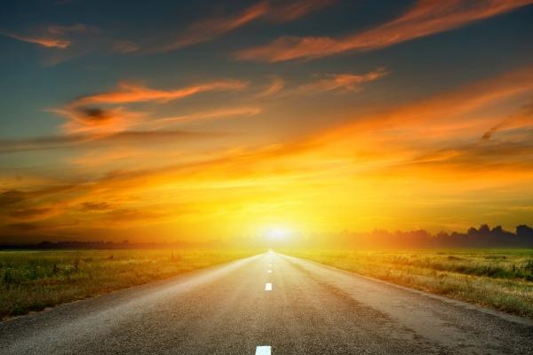 仙指阁运势 2025年1月8日十二生肖运势分析