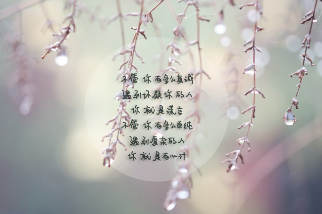 羊狗一窝必定富怎么讲