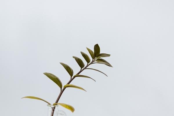 梦到了杀死自己孩子什么寓意