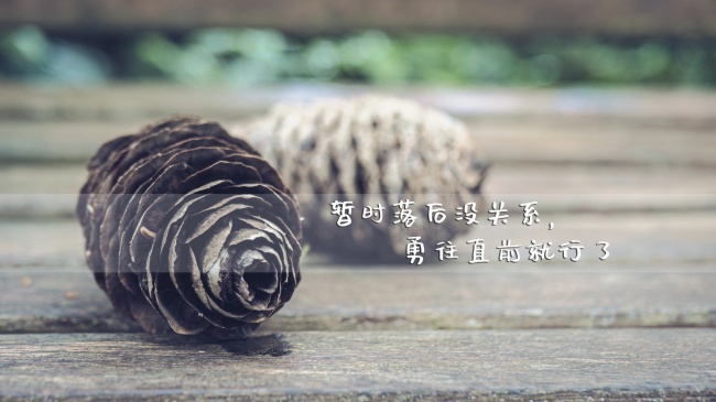 梦到了工程队意味着什么