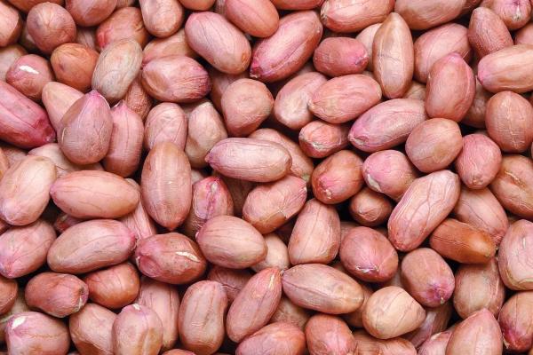 92年属猴男和95年属猪女婚姻