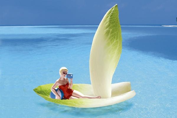 92年属猴2025运势及运程