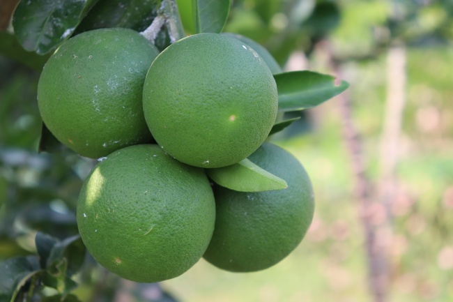 2025属龙今年比去年好吗，属龙人2025年运势表现如何