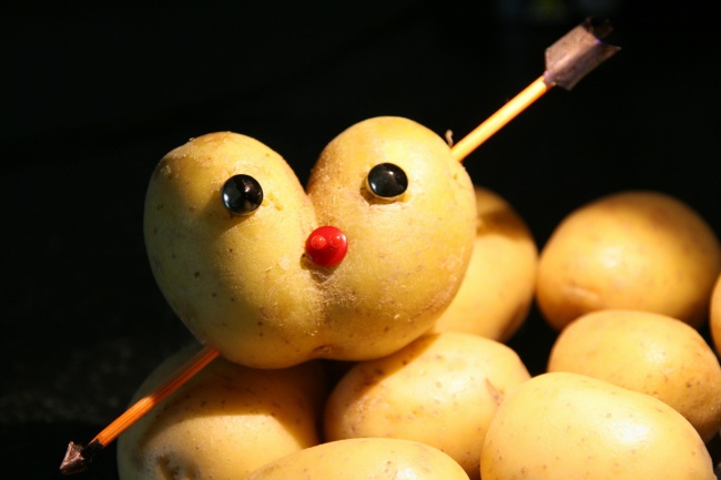 2025属龙最忌四种东西