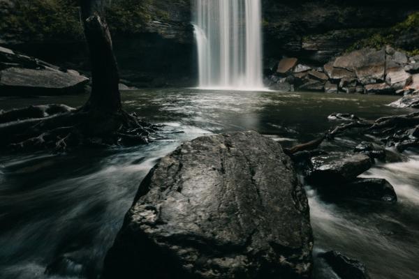 2025被辞退的生肖女