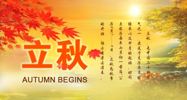 属牛2025年幸运色和忌色，属牛2025年的喜忌颜色