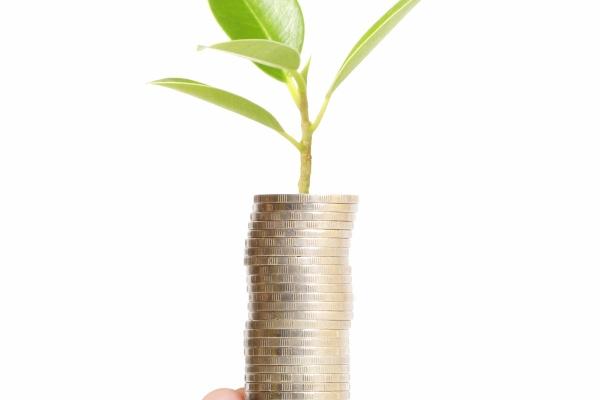 90男马会爱95女猪一辈子吗