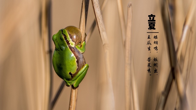 梦到了要买衣服有什么说法
