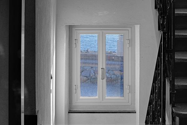 属鼠一生被谁折磨