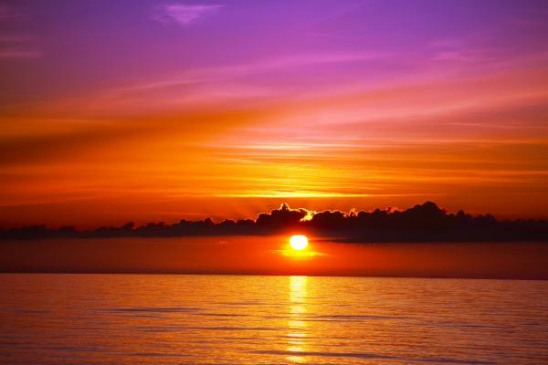 水兔年是哪些年份 属相水兔是什么意思