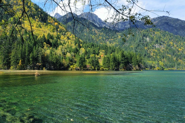 属牛一生被谁所折磨