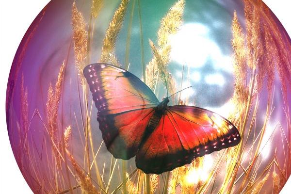 男龙比女鸡小7岁好吗婚姻如何