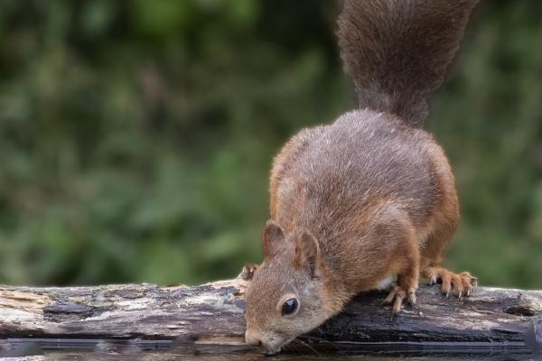 属虎人二婚会嫁给谁